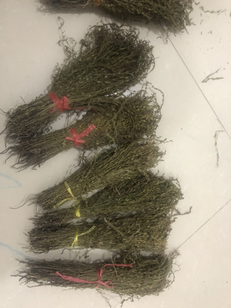 独脚金大货批发，各种规格有货！产地直销。
