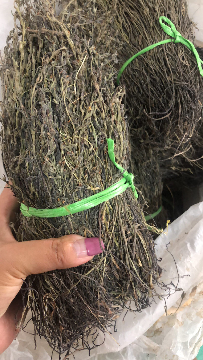 独脚金大货批发，各种规格有货！产地直销。