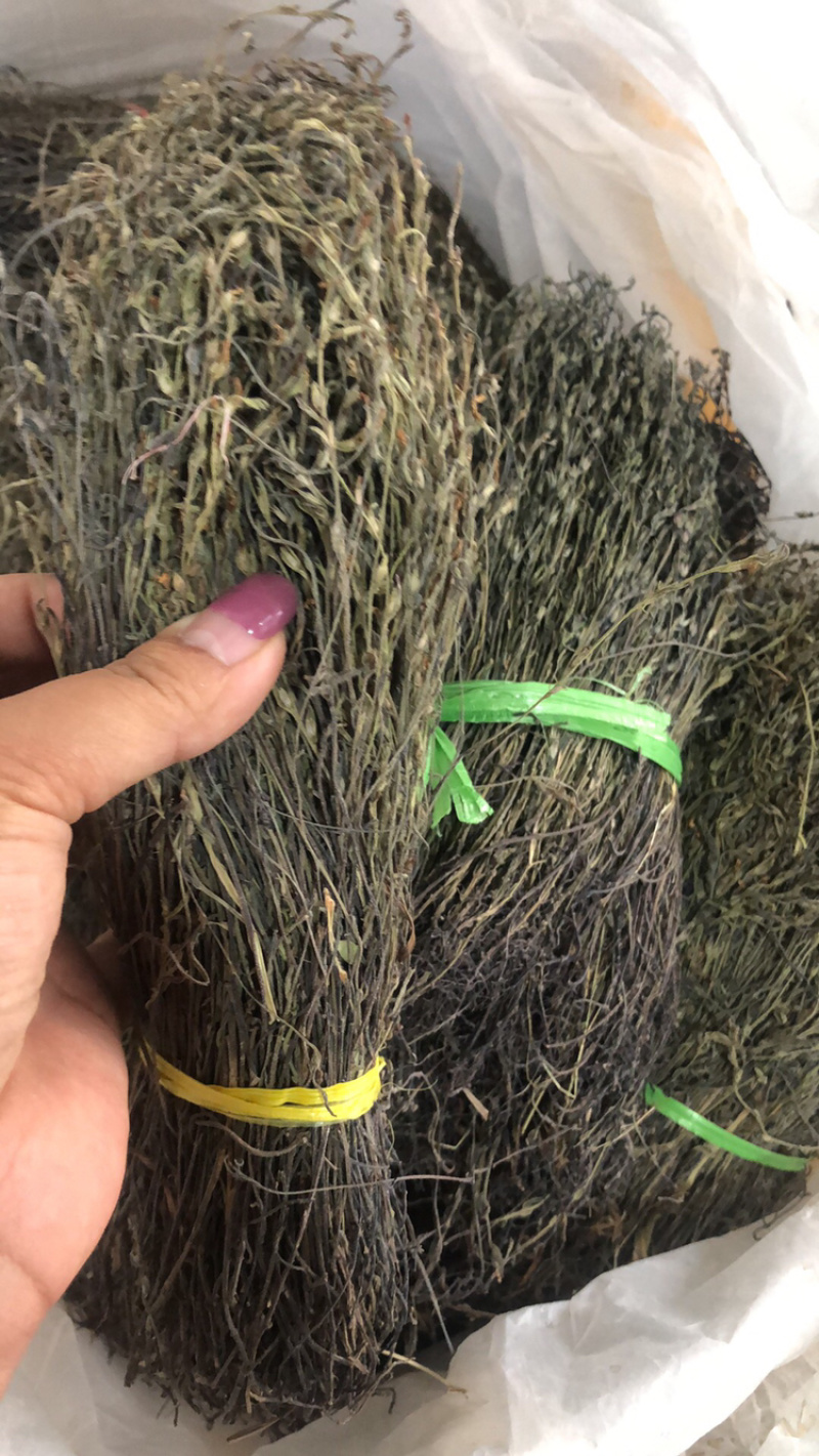 独脚金大货批发，各种规格有货！产地直销。