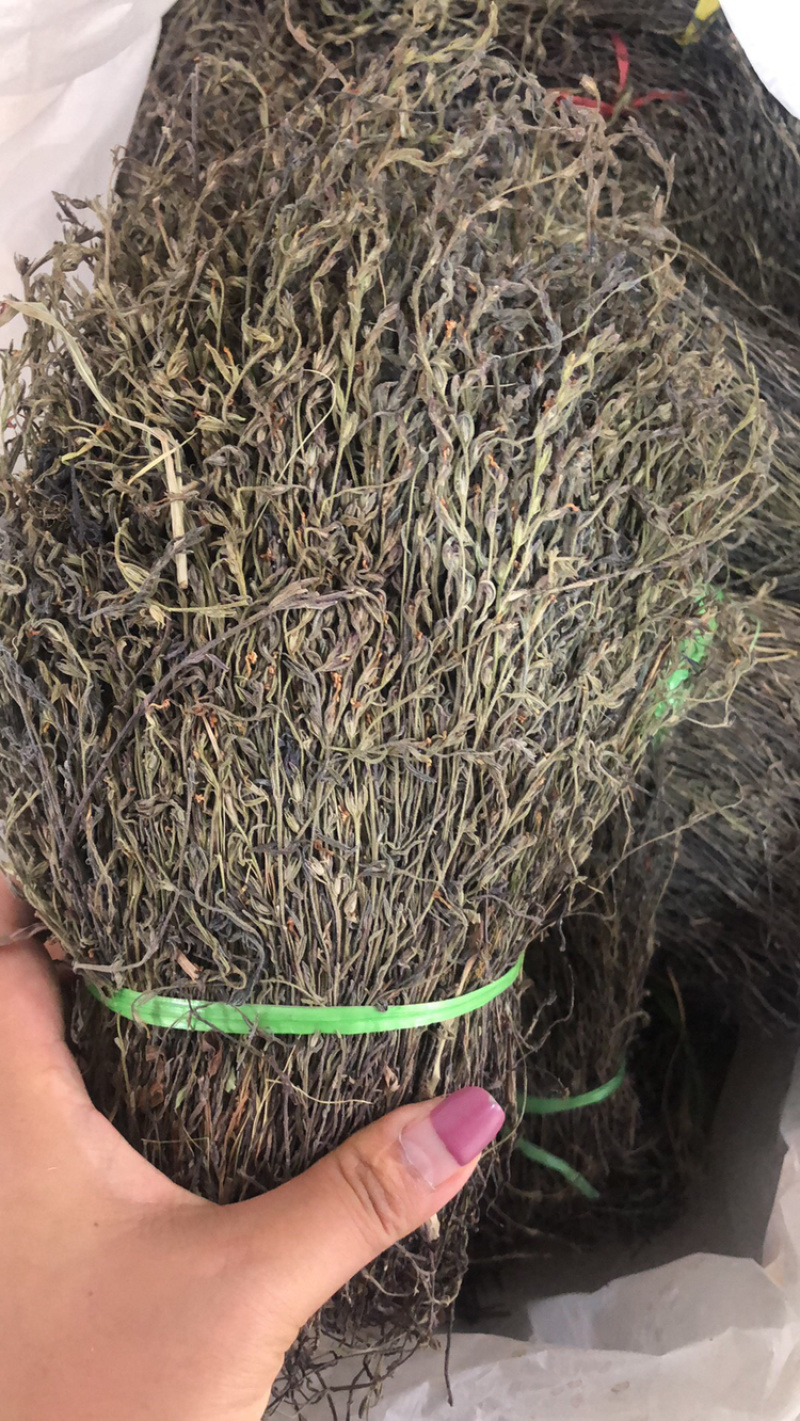 独脚金大货批发，各种规格有货！产地直销。