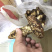 云南哀牢山松茸鲜货当天找第二天发货