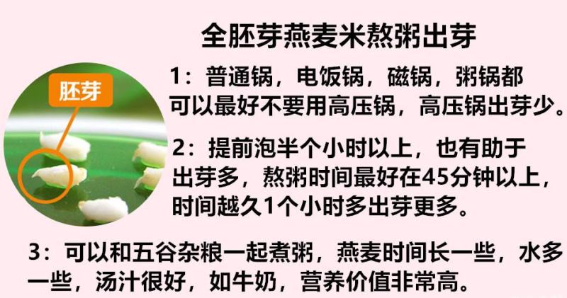 燕麦胚芽米边煮边发芽的神奇谷物燕麦胚芽米5斤装包邮