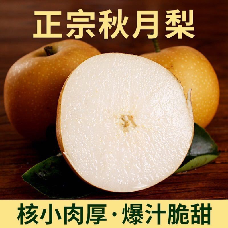 【秋月梨】秋月梨河北梨区肉质细腻饱满一件代发对接团购电联优惠