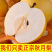 【秋月梨】秋月梨河北梨区肉质细腻饱满一件代发对接团购电联优惠