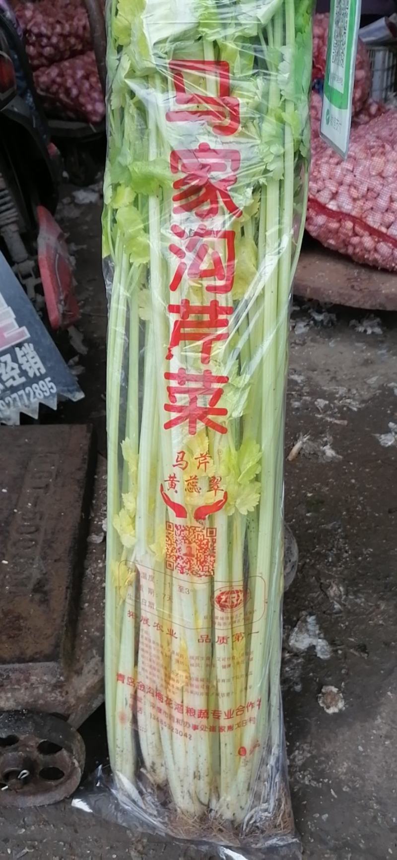 【品质保障】马家沟芹菜大棚芹菜可视频看货欢迎电话联系