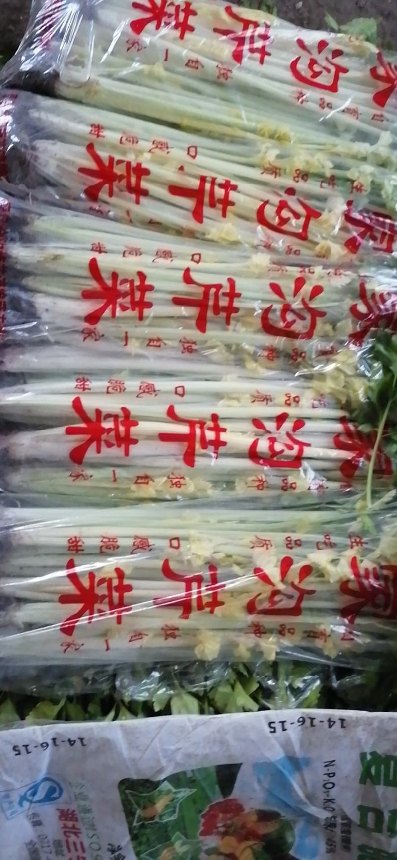 【品质保障】马家沟芹菜大棚芹菜可视频看货欢迎电话联系