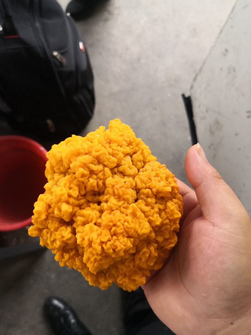 优质金耳全国诚招代理