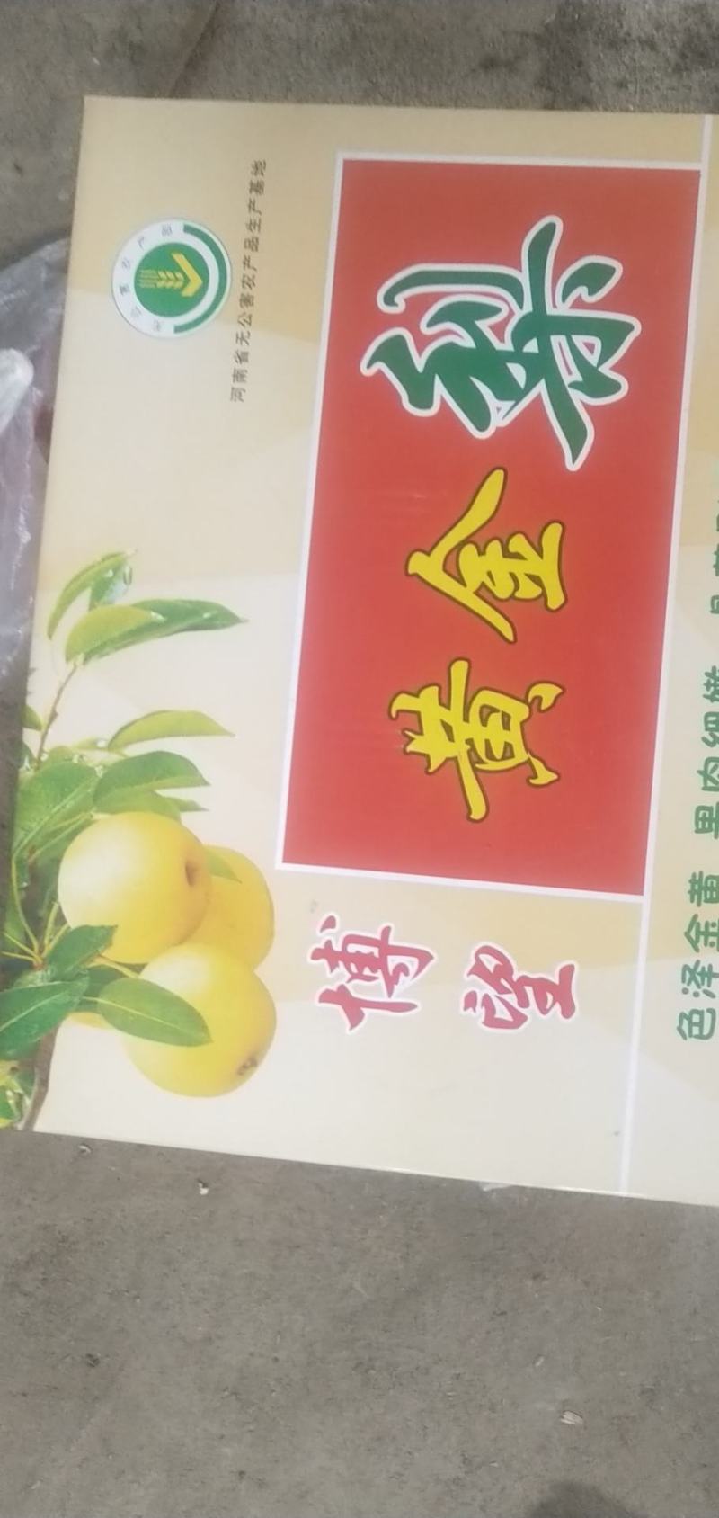 方城博望黄金梨口感好，含糖量高。冷库精品果大量供应。
