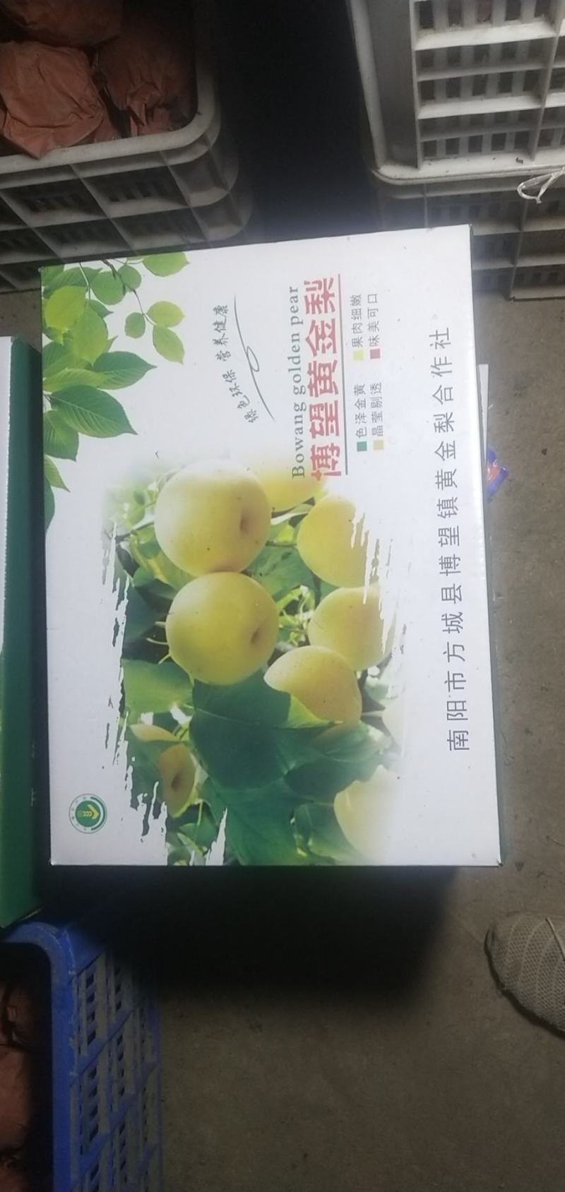 方城博望黄金梨口感好，含糖量高。冷库精品果大量供应。