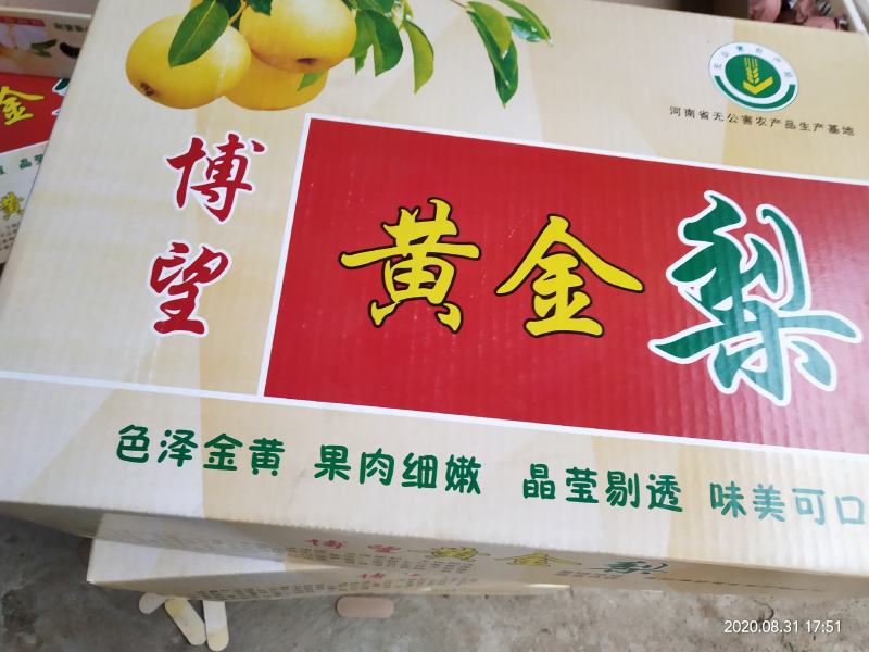 方城博望黄金梨口感好，含糖量高。冷库精品果大量供应。