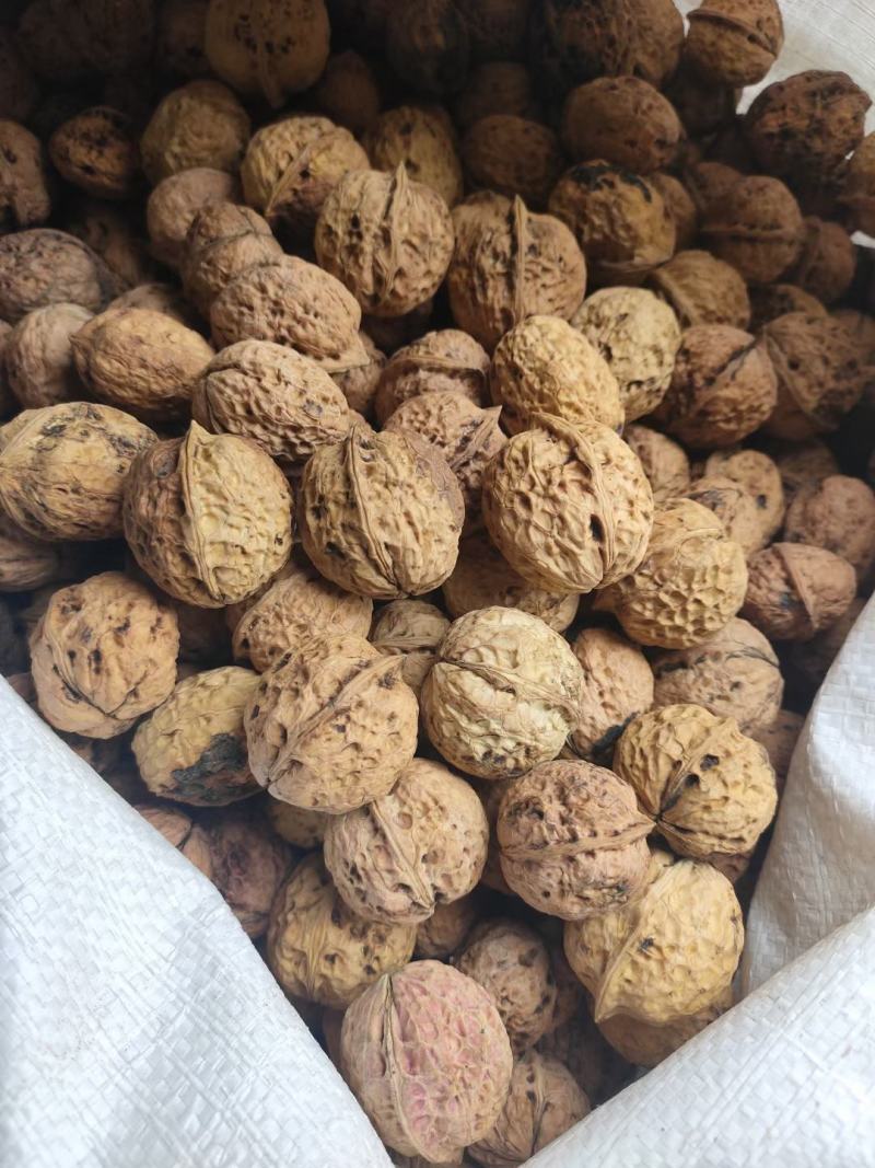 云南麻子核桃现货供应大量现货价格美丽