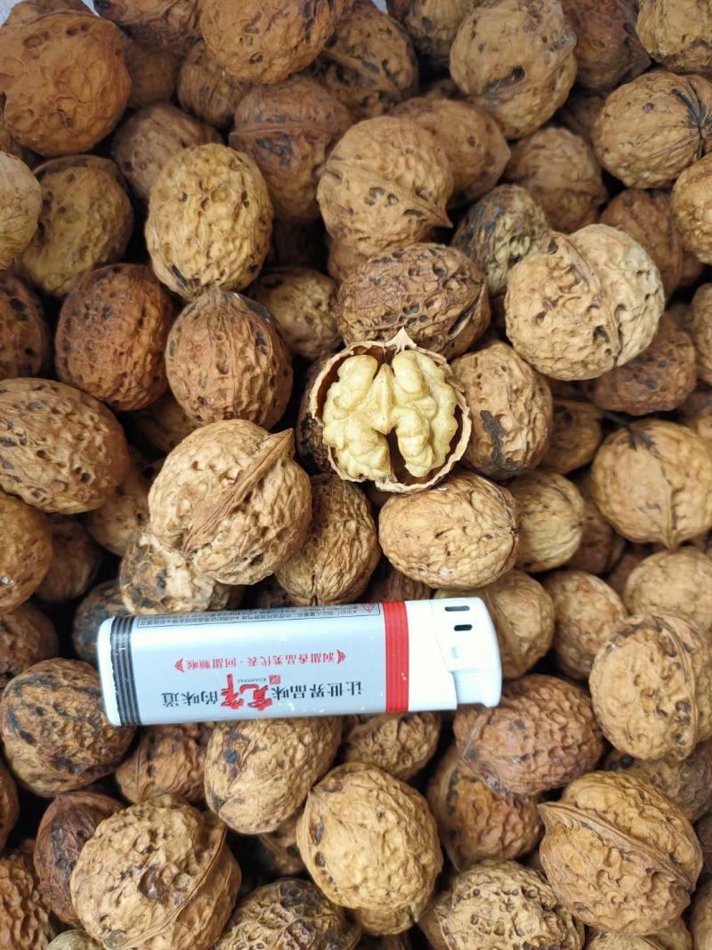 云南麻子核桃现货供应大量现货价格美丽