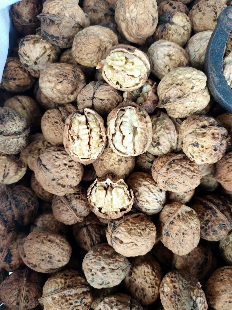 云南麻子核桃现货供应大量现货价格美丽