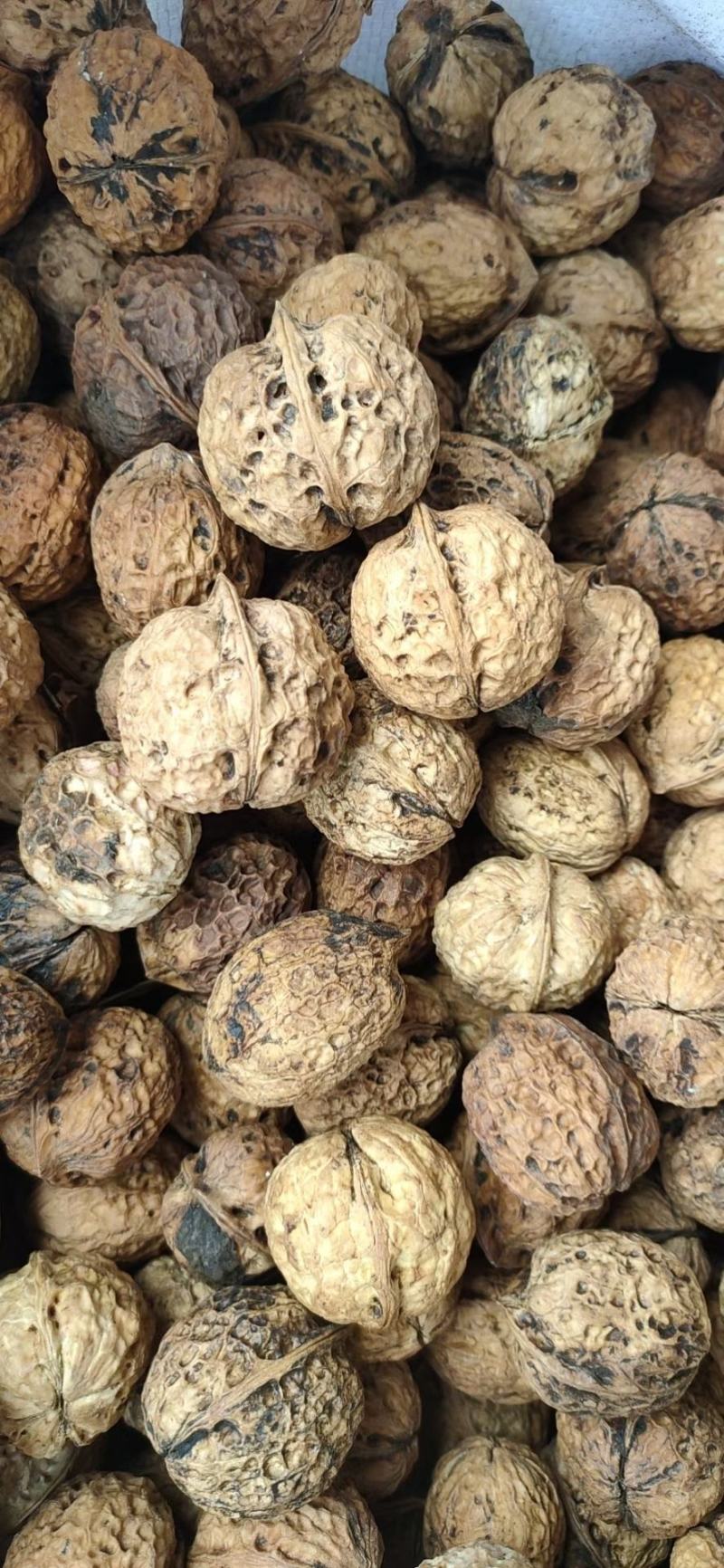 云南麻子核桃现货供应大量现货价格美丽