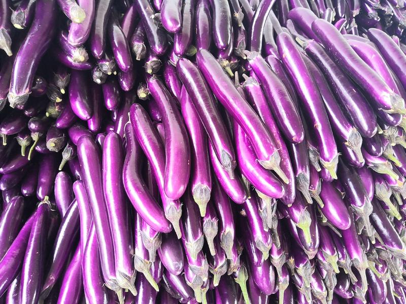 精品紫棒长茄子广茄大量有货，基地直采，货源充足