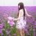 马鞭草种子柳叶阔叶马鞭草花卉种籽花海庭院多年生花种子四季
