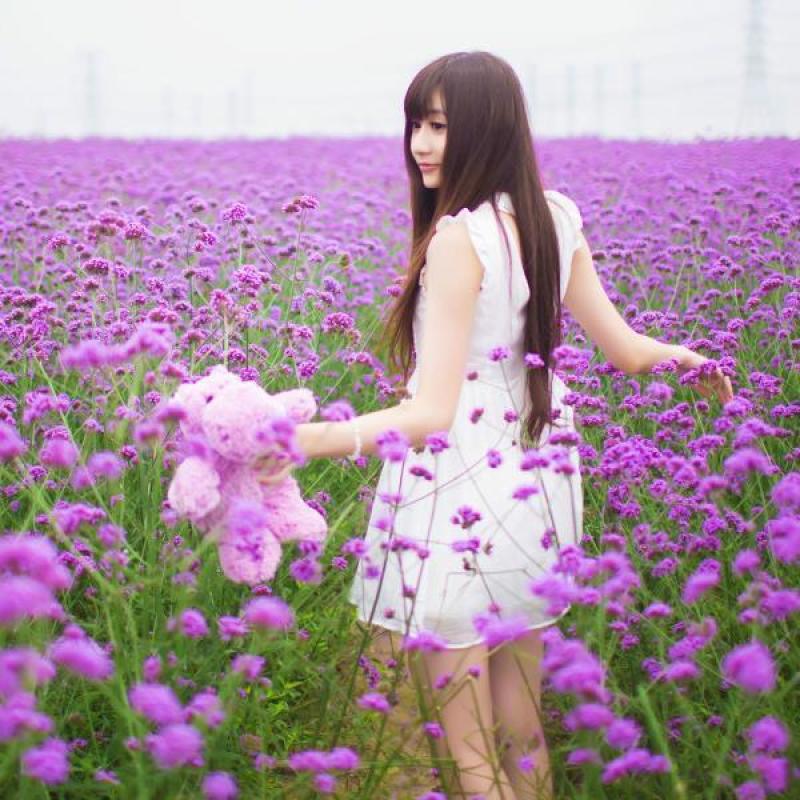 马鞭草种子柳叶阔叶马鞭草花卉种籽花海庭院多年生花种子四季