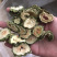 苦瓜苦瓜片苦瓜干实拍过筛货苦瓜片茶广西