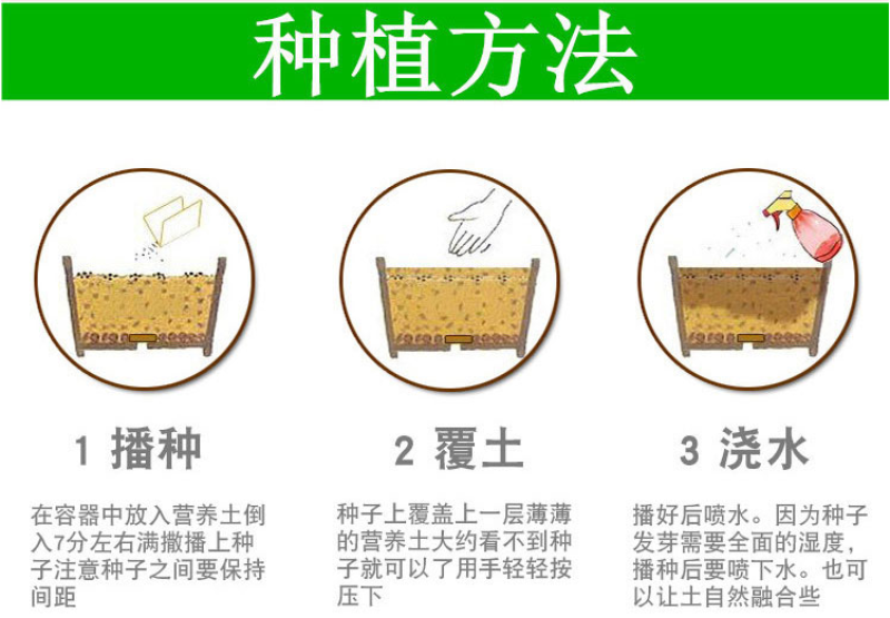 耐寒花种多年生野花组合种子四季开花不断花籽庭院易种活室外