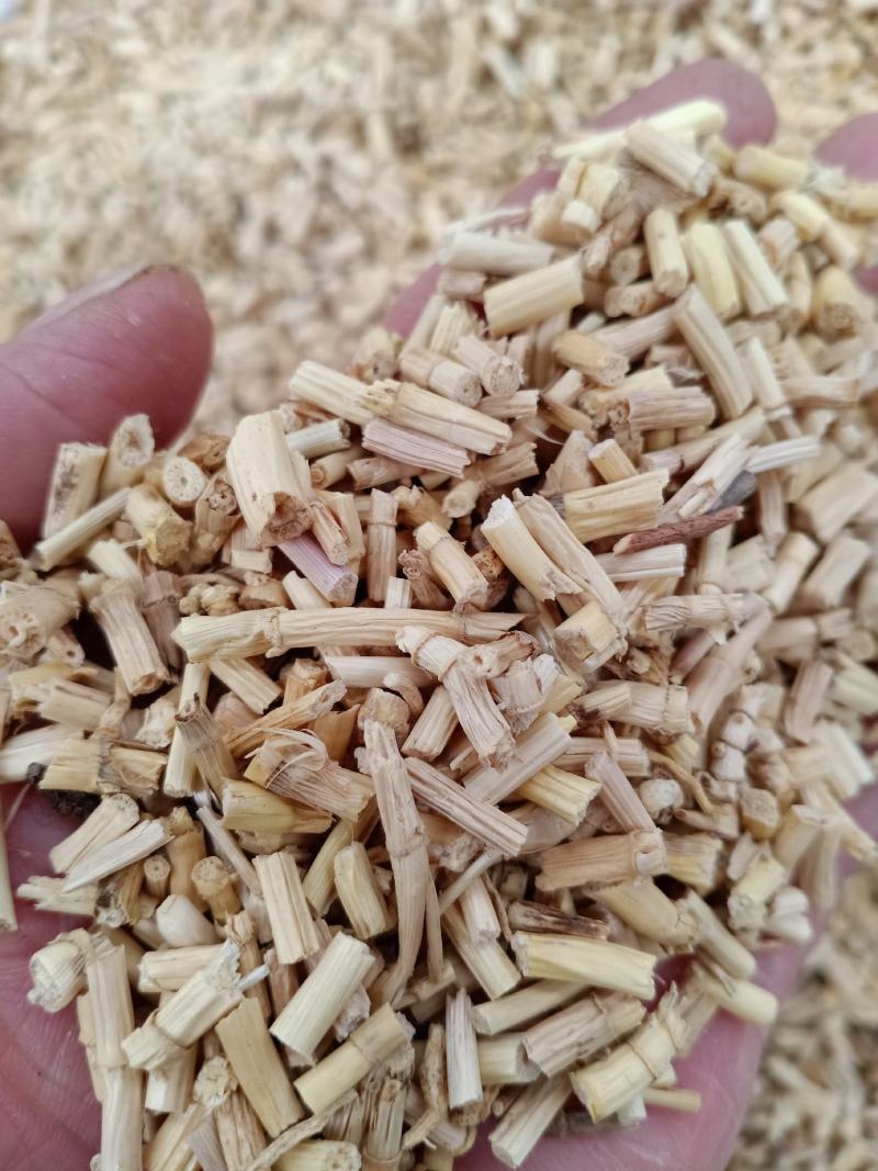白茅根，白毛根片干净无杂质量保证量大从优
