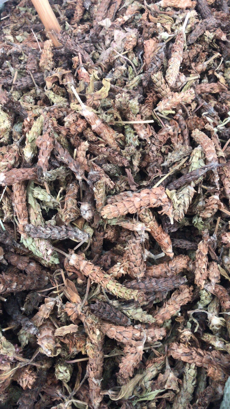 夏枯球夏枯球统货支持线上交易量大从优