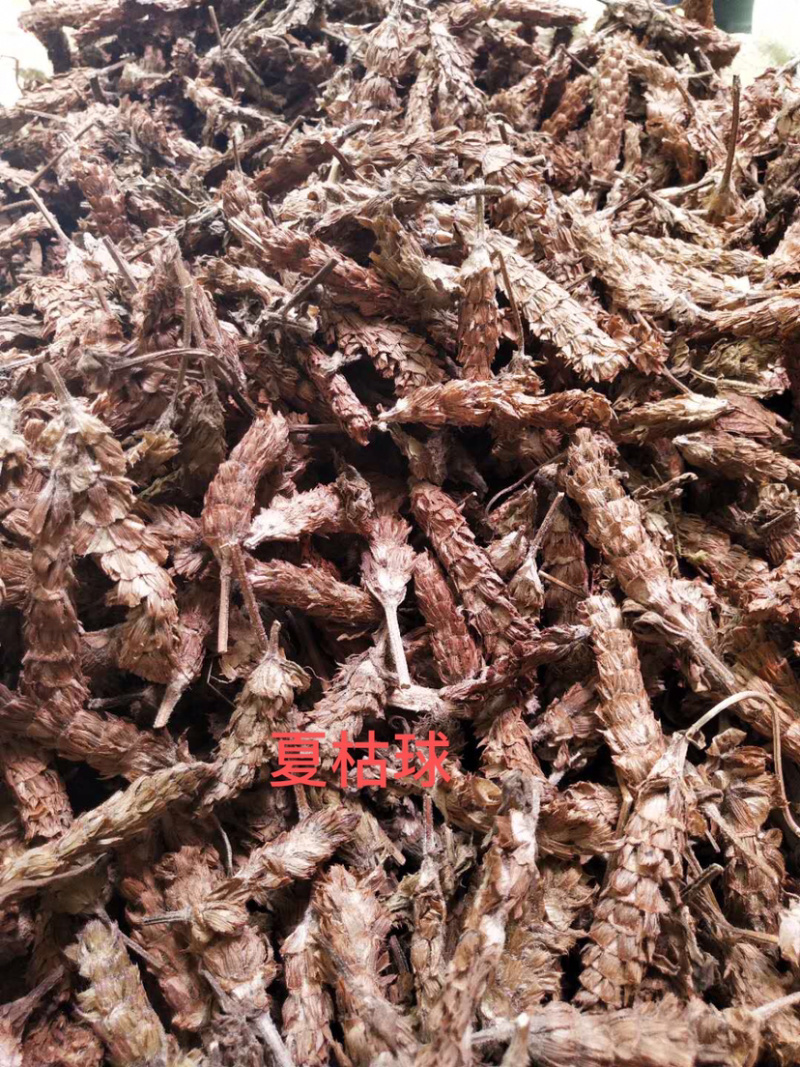 夏枯球夏枯球统货支持线上交易量大从优
