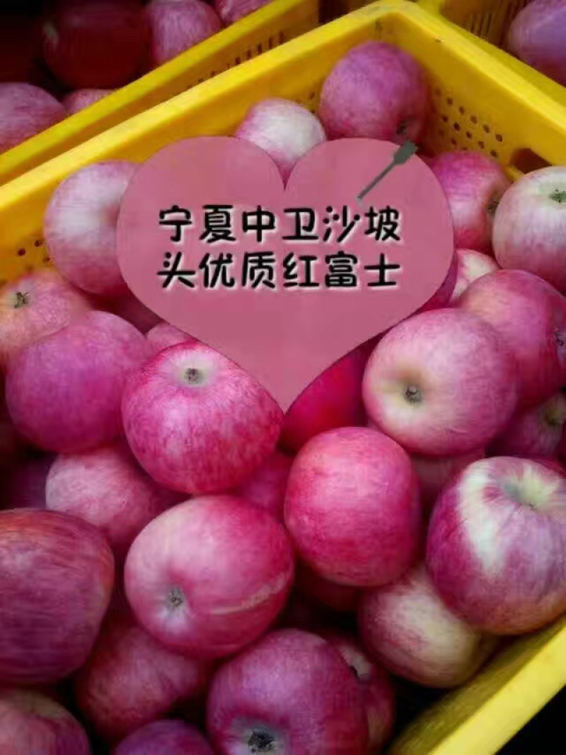 宁夏中卫富硒苹果货源充足