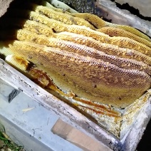 清河农业士峰场棒棒槽土峰蜜