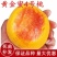 嫁接新品早熟特大黄金蜜桃树苗锦绣黄桃苗晚熟纯甜南北方种植
