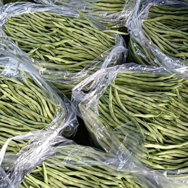 精品无筋豆现以大量上市，全国均可发货