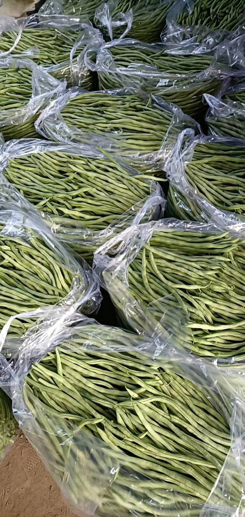 精品无筋豆现以大量上市，全国均可发货