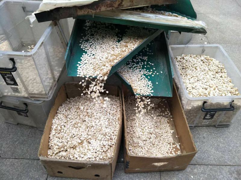 西洋参片花旗参片0.6-1.2规格，源产地批发一手货源