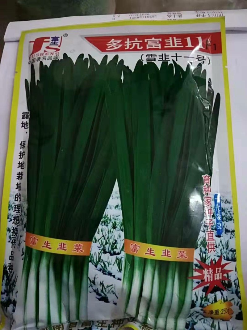 韭菜种子平韭6号，平韭5号细叶韭菜种子高产品种