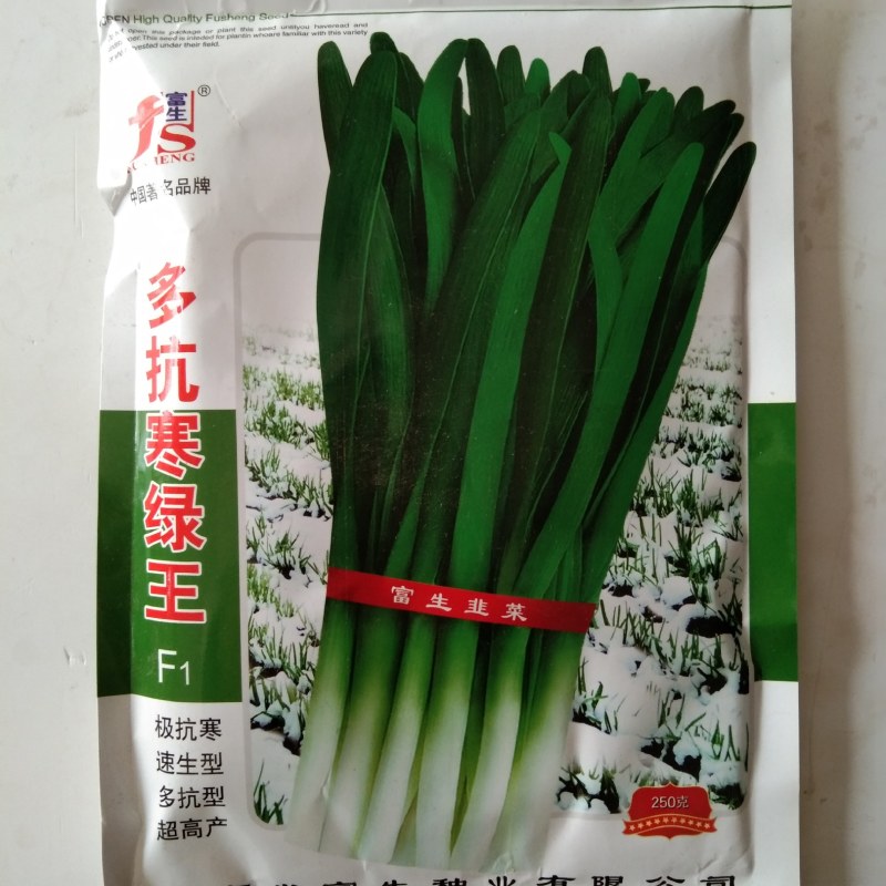 韭菜种子平韭6号，平韭5号细叶韭菜种子高产品种