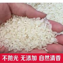 大米无添加无抛光纯糙米，江水灌溉无农药化肥残留营养可口