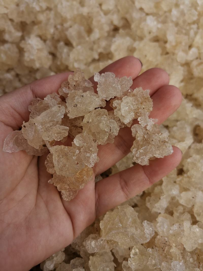 雪燕拉丝雪燕缅甸纯净货品质保证美容养颜