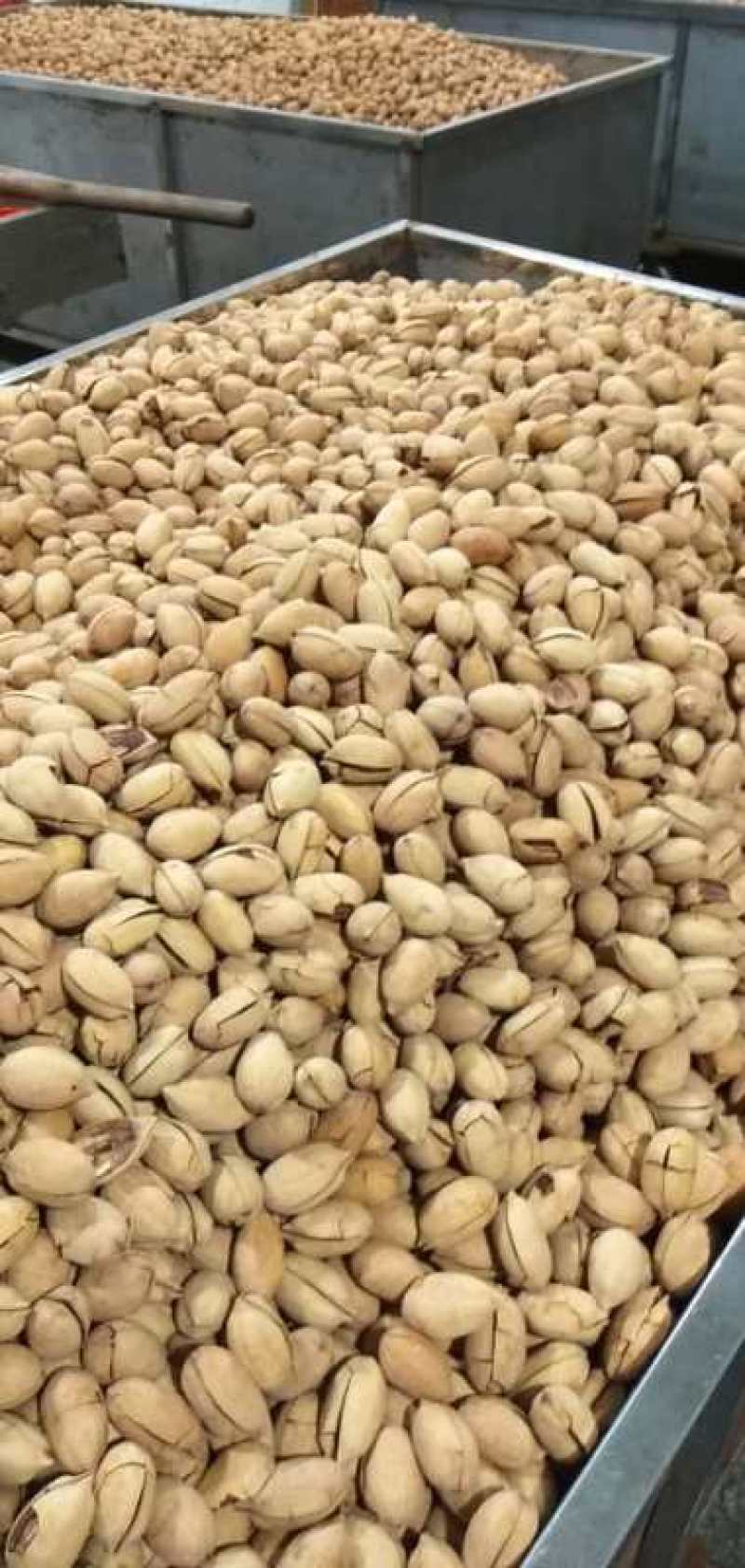 大碧根果临安新货广州，奶油味，地摊产品