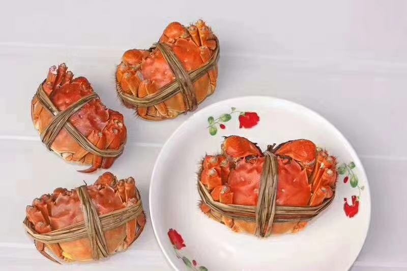 高端大闸蟹领导品牌——黄金蟹