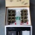 高端大闸蟹领导品牌——黄金蟹