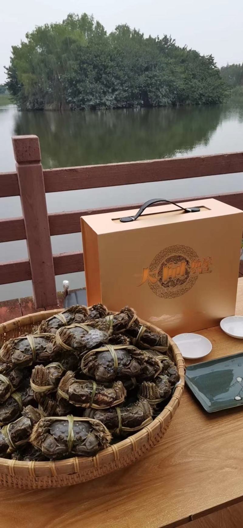 高端大闸蟹领导品牌——黄金蟹