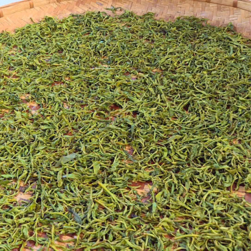 云南野放茶急找收购者