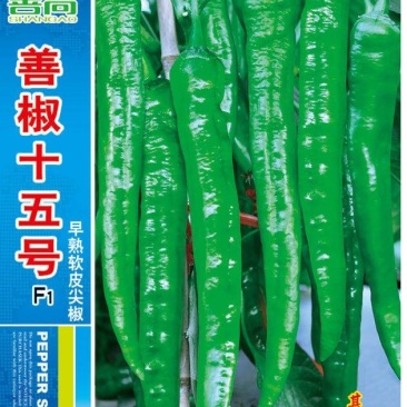 善椒十五号杂交辣椒种子早熟软皮尖椒大棚露地均可种植高产抗
