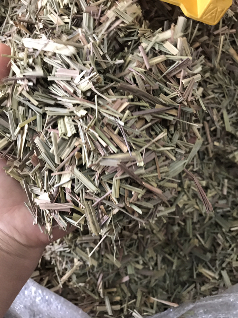 香茅草香茅草切段支持线上交易量大从优