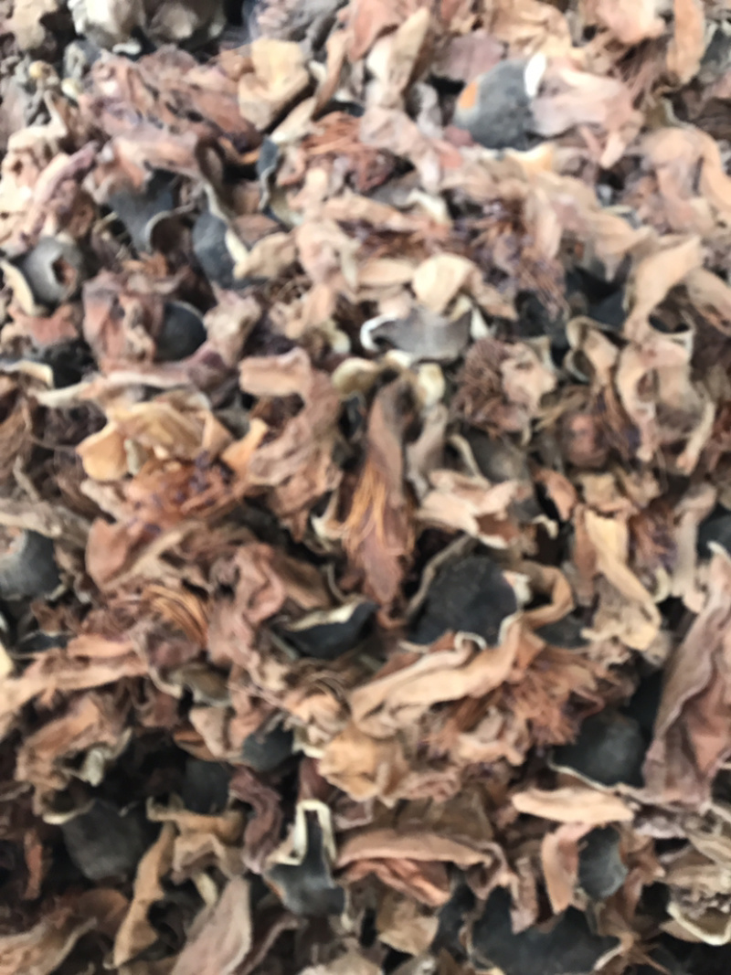 木棉花木棉花木棉花支持线上交易量大从优