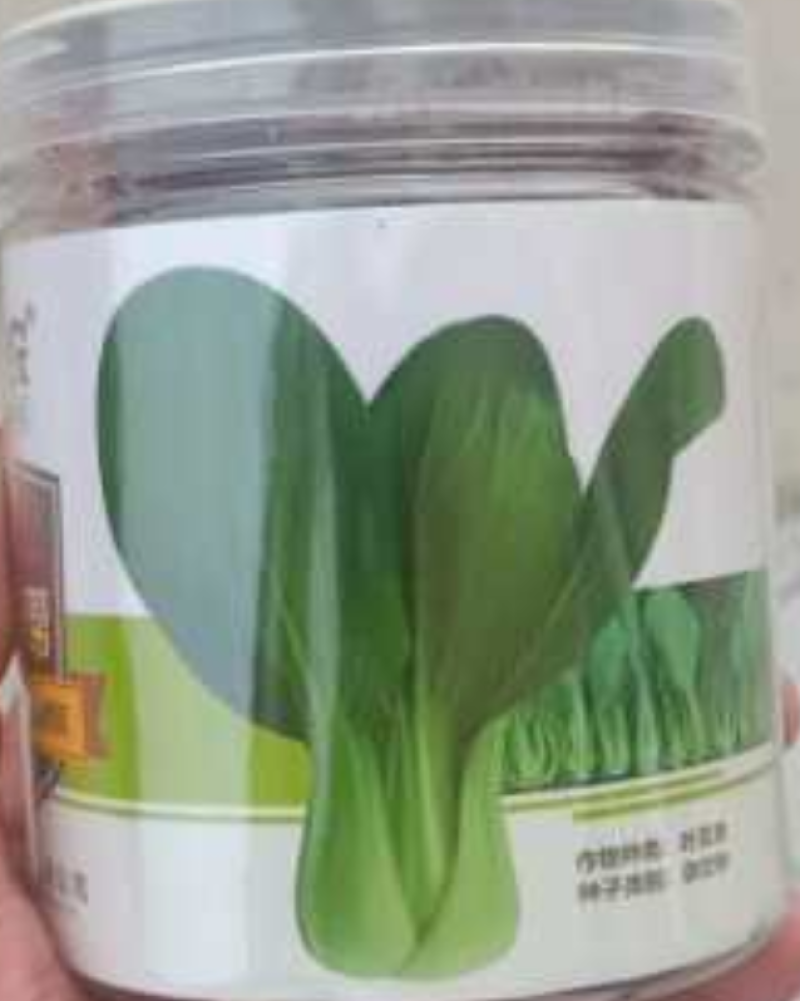 窄帮绿霸青梗菜价格合理质量保证