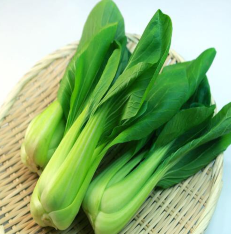 窄帮绿霸青梗菜价格合理质量保证