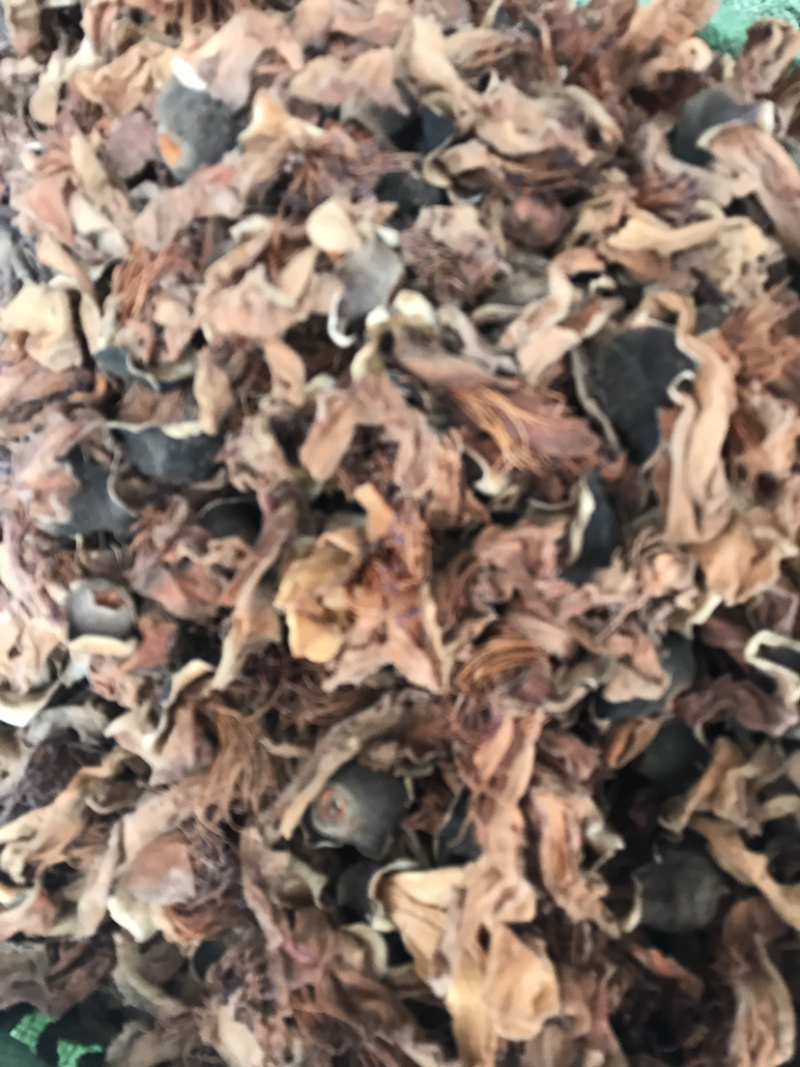 木棉花木棉花木棉花支持线上交易量大从优