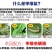 12%甲维虫螨腈持久杀虫剂菜青虫钻心虫小菜蛾蓟马虫螨腈