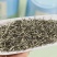 毛尖新茶特级明前绿茶高香耐泡茶农包邮