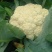 精品有机菜花一手货源量大从优